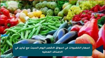 أسعار الخضروات في أسواق الأقصر اليوم السبت مع تباين في الأصناف المحلية